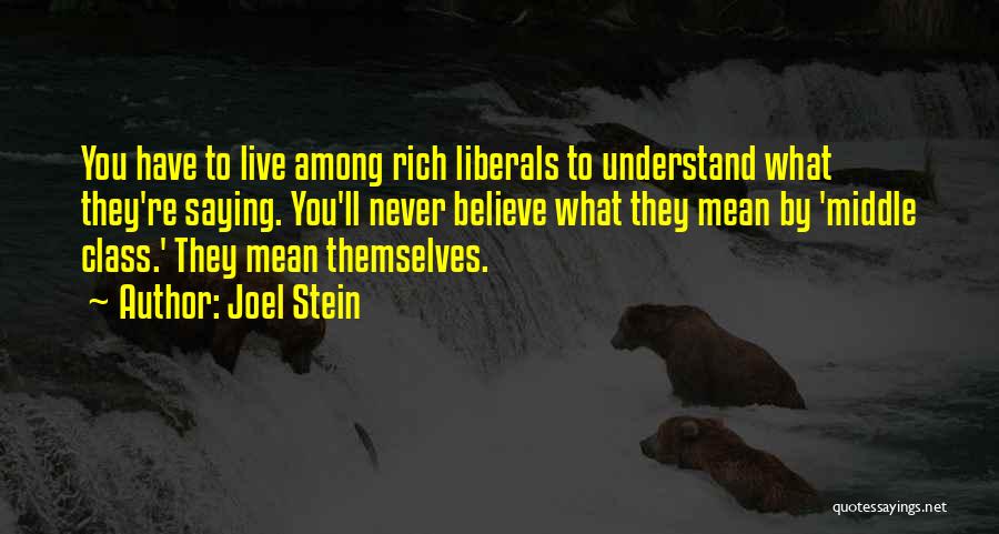 Live What You Believe Quotes By Joel Stein