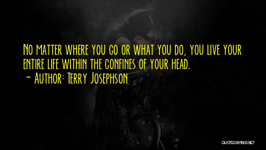 Live What You Do Quotes By Terry Josephson