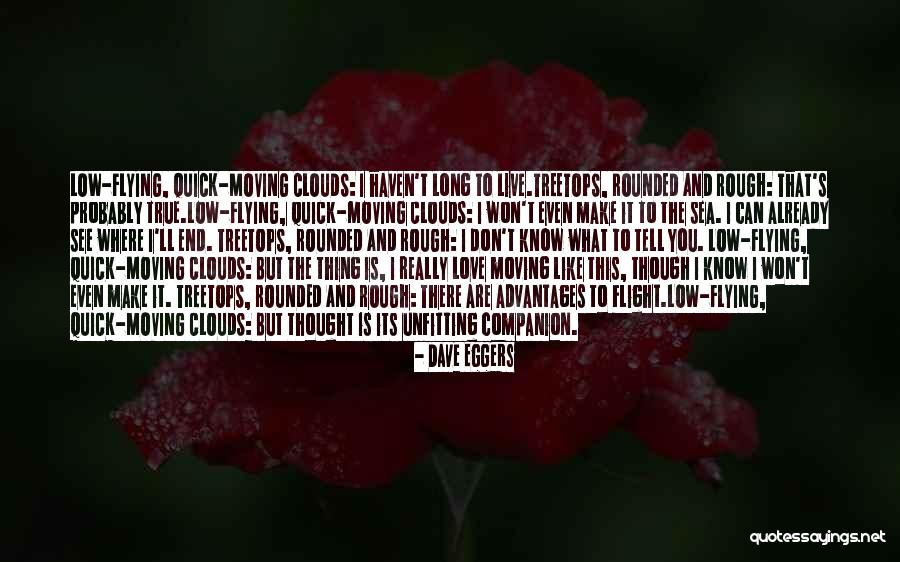 Live Where You Love Quotes By Dave Eggers Live Where You Love Quotes By Dave Eggers