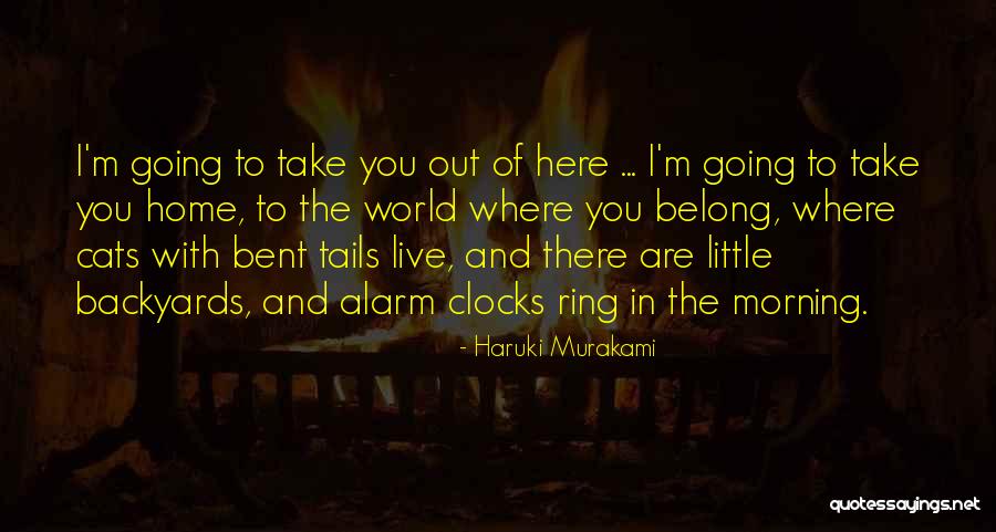 Live Where You Love Quotes By Haruki Murakami Live Where You Love Quotes By Haruki Murakami