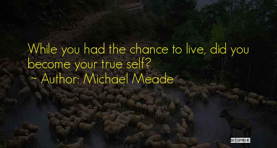 Live While Quotes By Michael Meade