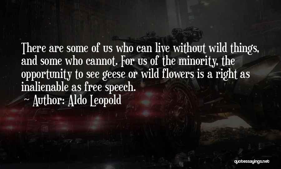 Live Wild And Free Quotes By Aldo Leopold