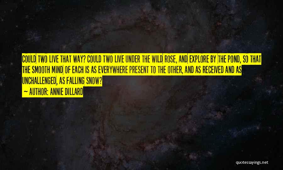 Live Wild Quotes By Annie Dillard Live Wild Quotes By Annie Dillard