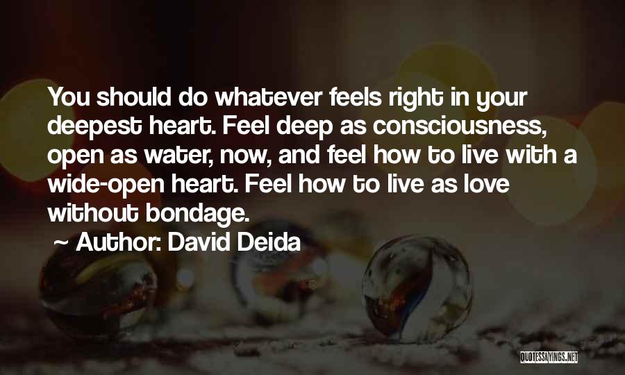 Live With Love In Your Heart Quotes By David Deida