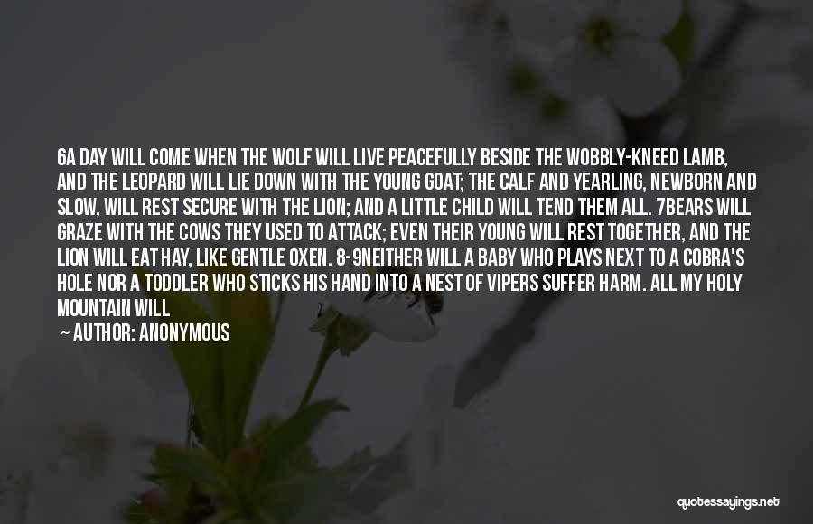 Live Young And Free Quotes By Anonymous Live Young And Free Quotes By Anonymous