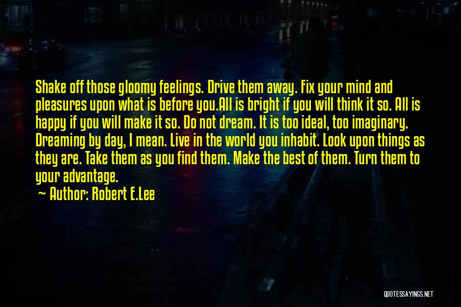 Live Your Dream Quotes By Robert E.Lee