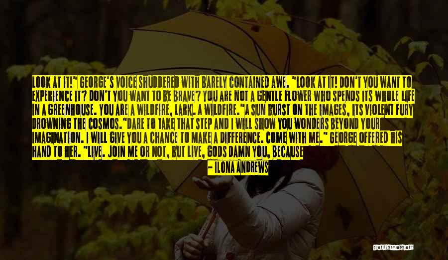 Live Your Imagination Quotes By Ilona Andrews Live Your Imagination Quotes By Ilona Andrews