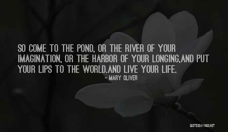 Live Your Imagination Quotes By Mary Oliver Live Your Imagination Quotes By Mary Oliver