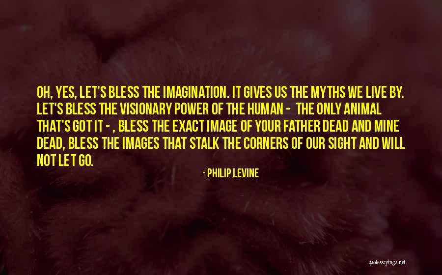 Live Your Imagination Quotes By Philip Levine Live Your Imagination Quotes By Philip Levine
