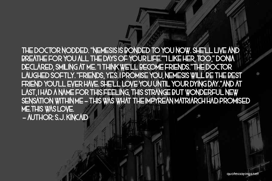 Live Your Life Like It's The Last Day Quotes By S.J. Kincaid