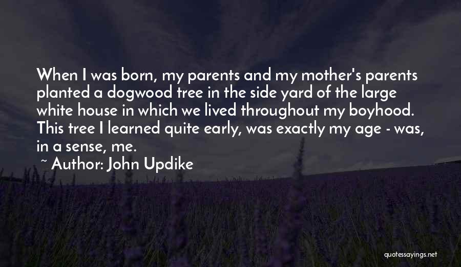 Lived And Learned Quotes By John Updike