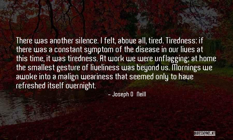 Liveliness Quotes By Joseph O'Neill Liveliness Quotes By Joseph O'Neill