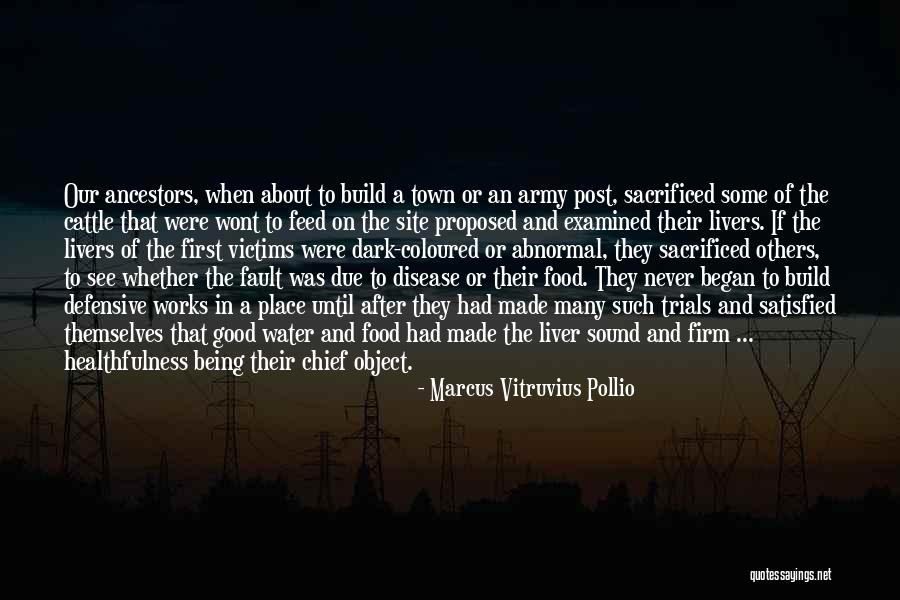 Liver Disease Quotes By Marcus Vitruvius Pollio Liver Disease Quotes By Marcus Vitruvius Pollio