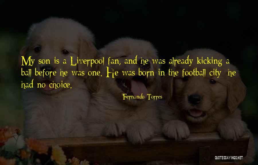 Liverpool City Quotes By Fernando Torres Liverpool City Quotes By Fernando Torres