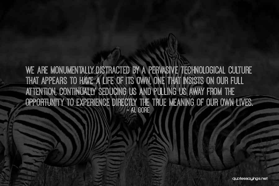 Lives Are Full Quotes By Al Gore Lives Are Full Quotes By Al Gore
