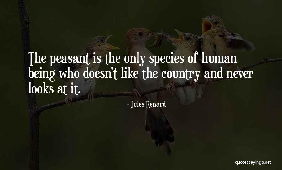 Livesay Group Quotes By Jules Renard Livesay Group Quotes By Jules Renard