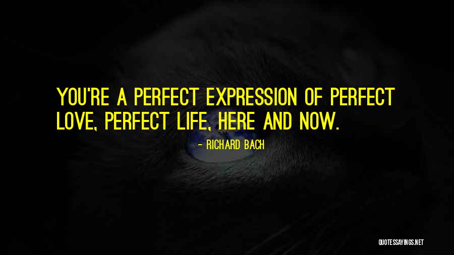 Livethehealthyorangelife Quotes By Richard Bach Livethehealthyorangelife Quotes By Richard Bach