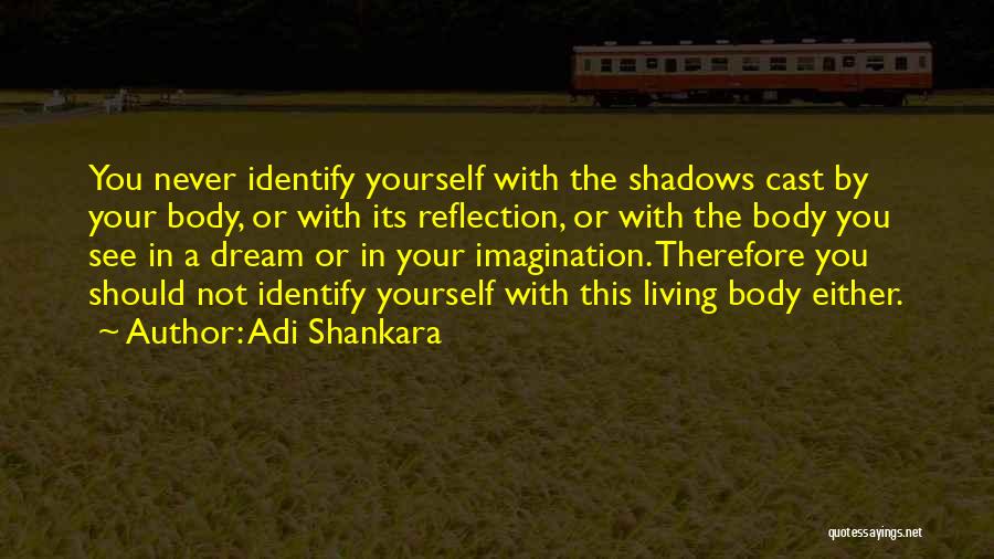 Living A Dream Quotes By Adi Shankara