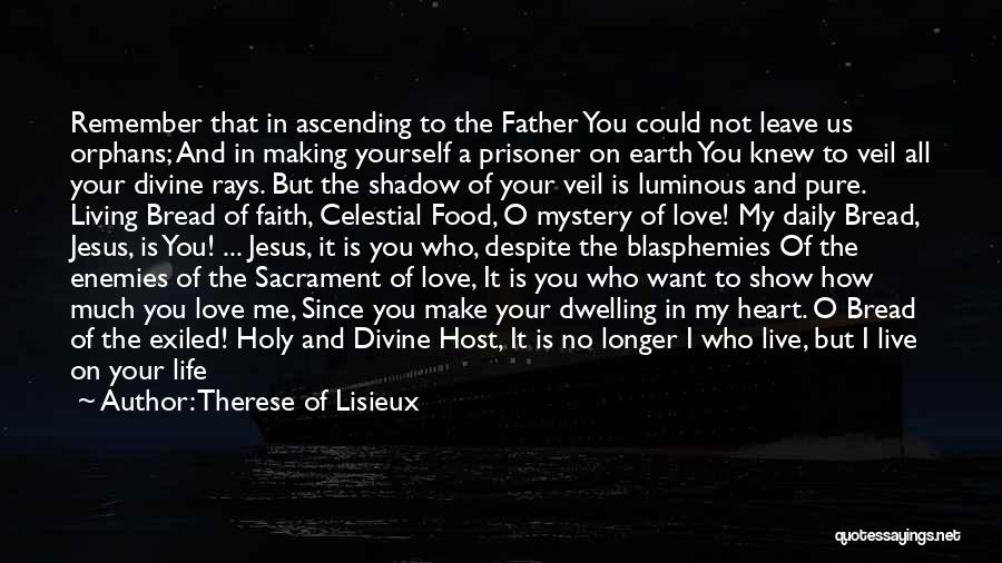 Living A Holy Life Quotes By Therese Of Lisieux