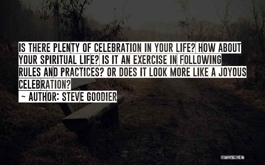 Living A Joyful Life Quotes By Steve Goodier