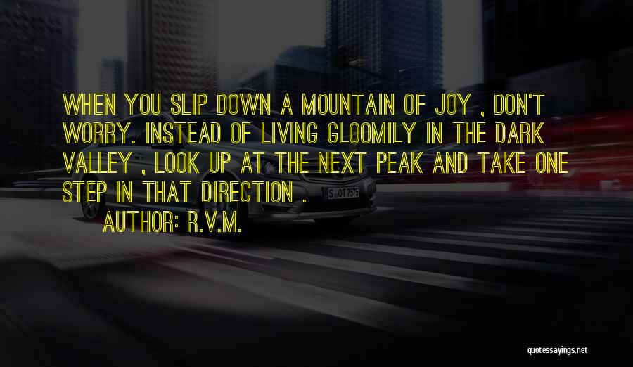 Living A Life Of Joy Quotes By R.v.m.
