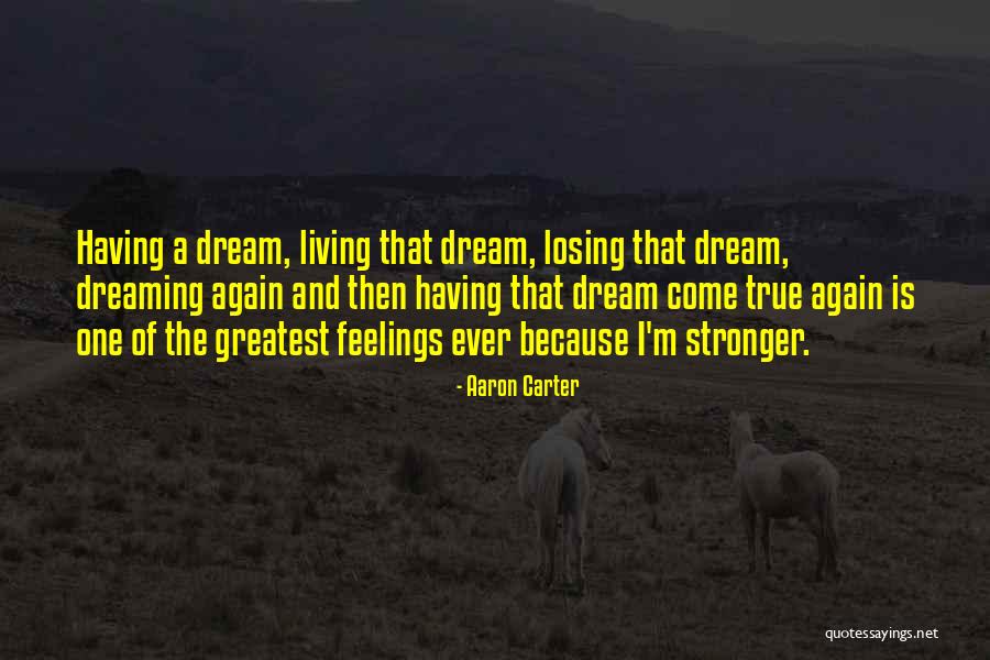 Living And Dreaming Quotes By Aaron Carter