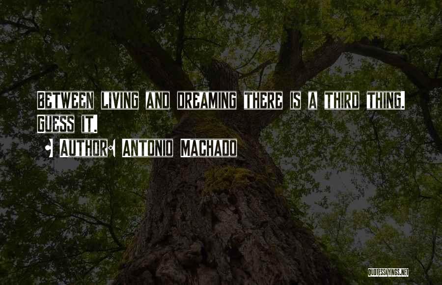 Living And Dreaming Quotes By Antonio Machado