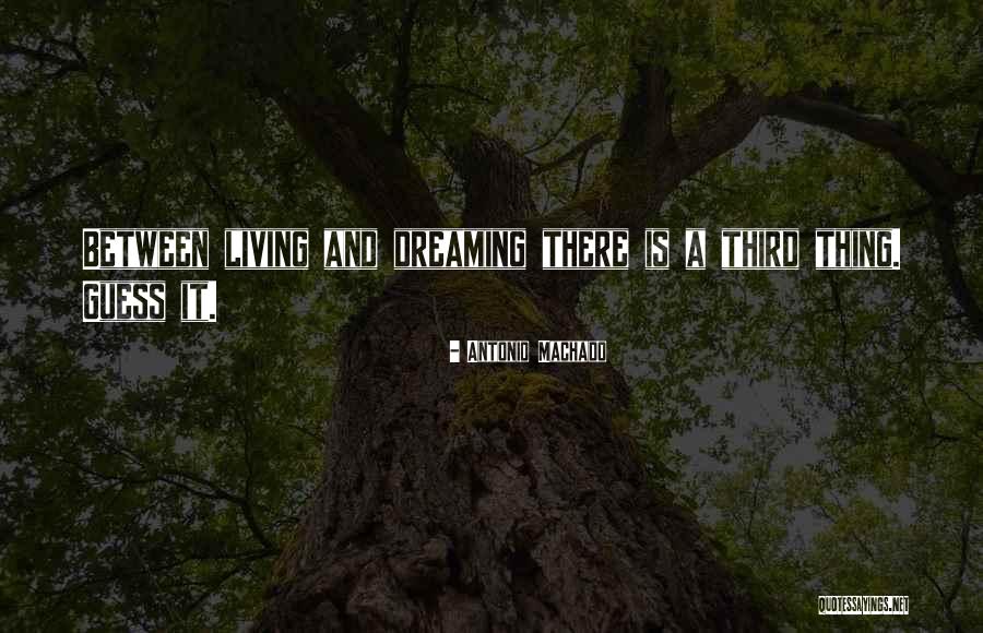 Living And Dreaming Quotes By Antonio Machado