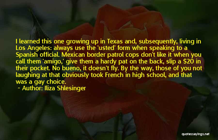 Living And Growing Quotes By Iliza Shlesinger