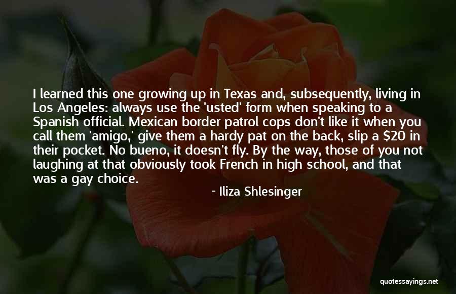 Living And Laughing Quotes By Iliza Shlesinger