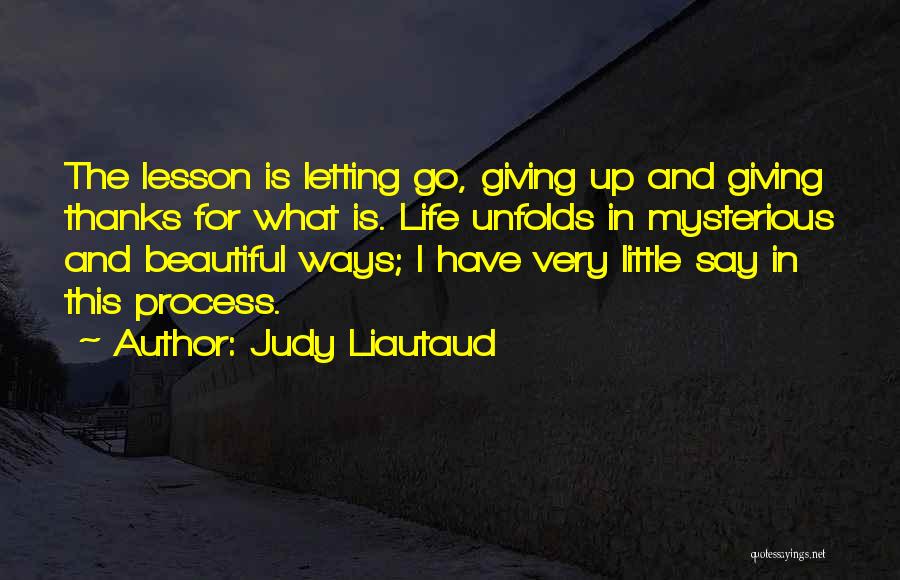 Living And Letting Go Quotes By Judy Liautaud