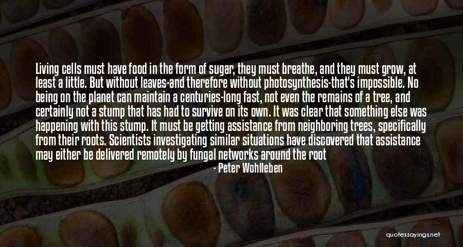 Living But Not Alive Quotes By Peter Wohlleben Living But Not Alive Quotes By Peter Wohlleben