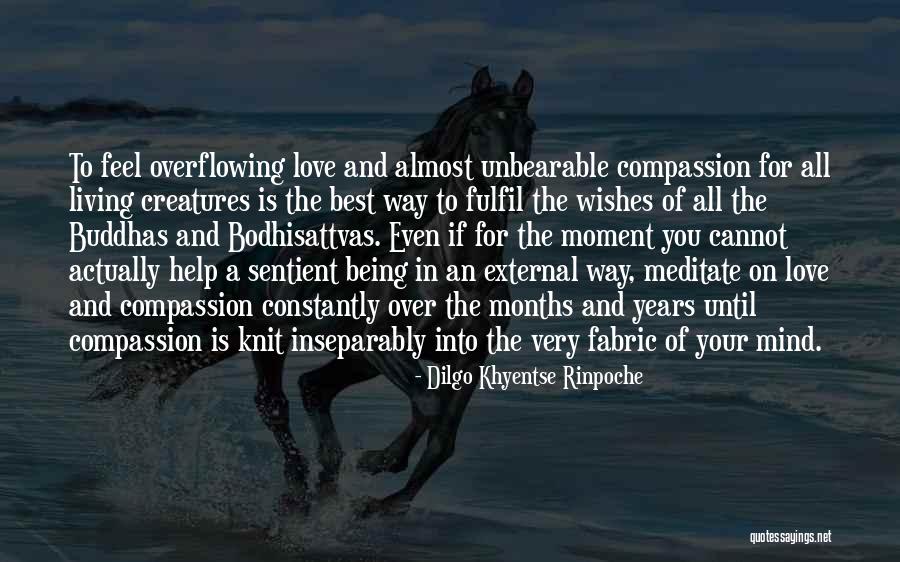 Living Creatures Quotes By Dilgo Khyentse Rinpoche