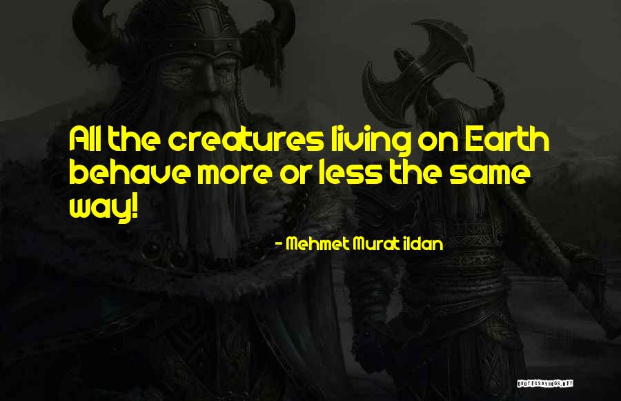 Living Creatures Quotes By Mehmet Murat Ildan
