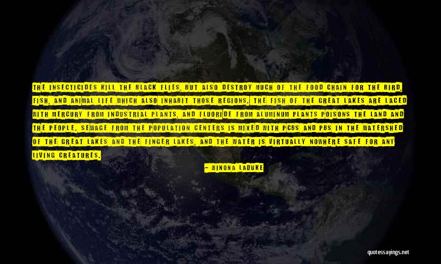 Living Creatures Quotes By Winona LaDuke