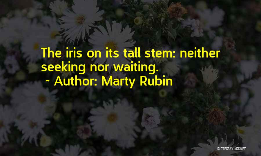 Living Here And Now Quotes By Marty Rubin