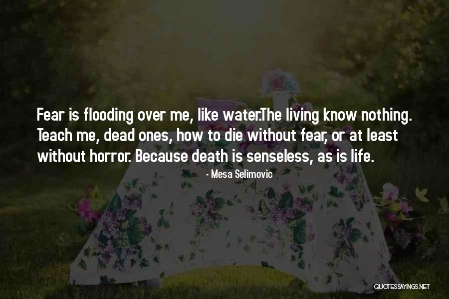 Living Horror Quotes By Mesa Selimovic Living Horror Quotes By Mesa Selimovic