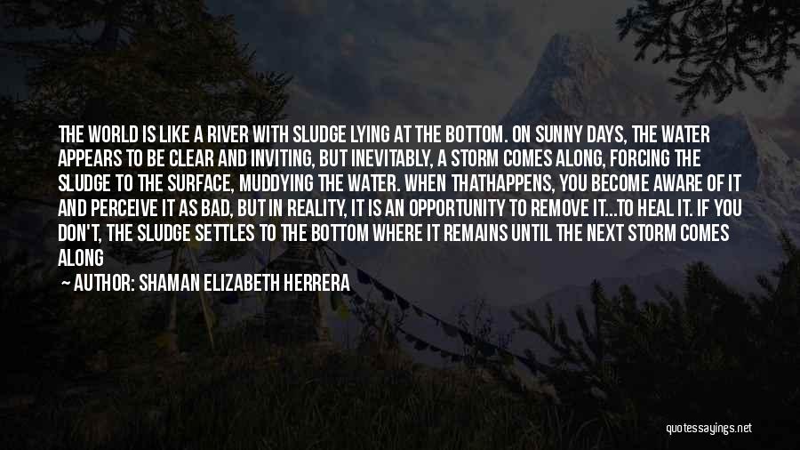 Living In A Bad World Quotes By Shaman Elizabeth Herrera