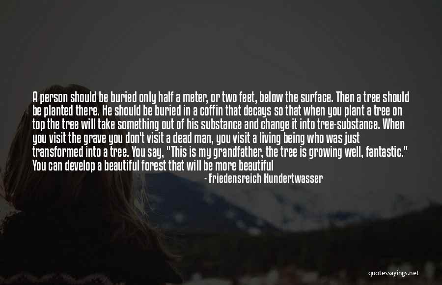 Living In A Beautiful Place Quotes By Friedensreich Hundertwasser Living In A Beautiful Place Quotes By Friedensreich Hundertwasser