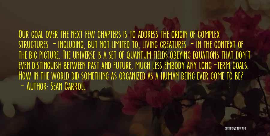 Living In A Big World Quotes By Sean Carroll