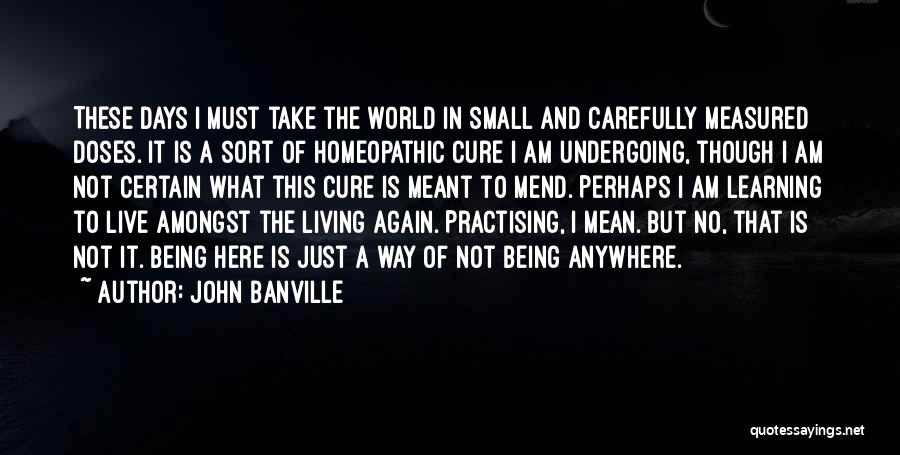 Living In A Small World Quotes By John Banville