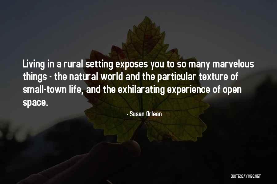 Living In A Small World Quotes By Susan Orlean