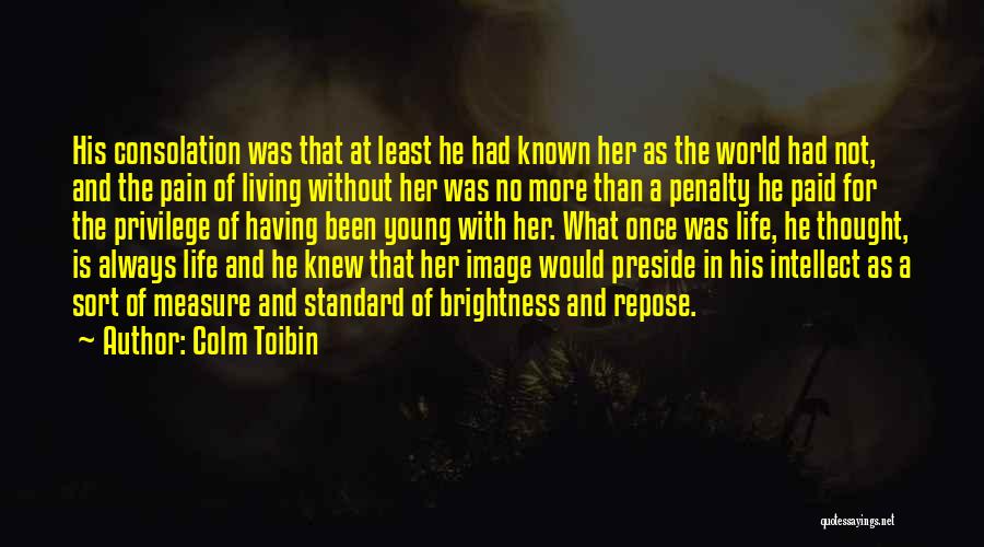 Living In A World Of Pain Quotes By Colm Toibin