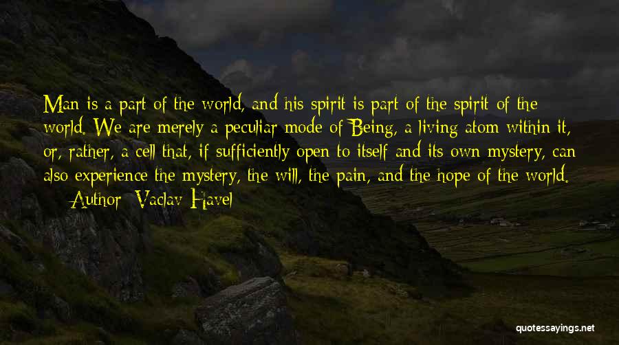 Living In A World Of Pain Quotes By Vaclav Havel