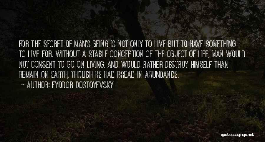 Living In Abundance Quotes By Fyodor Dostoyevsky