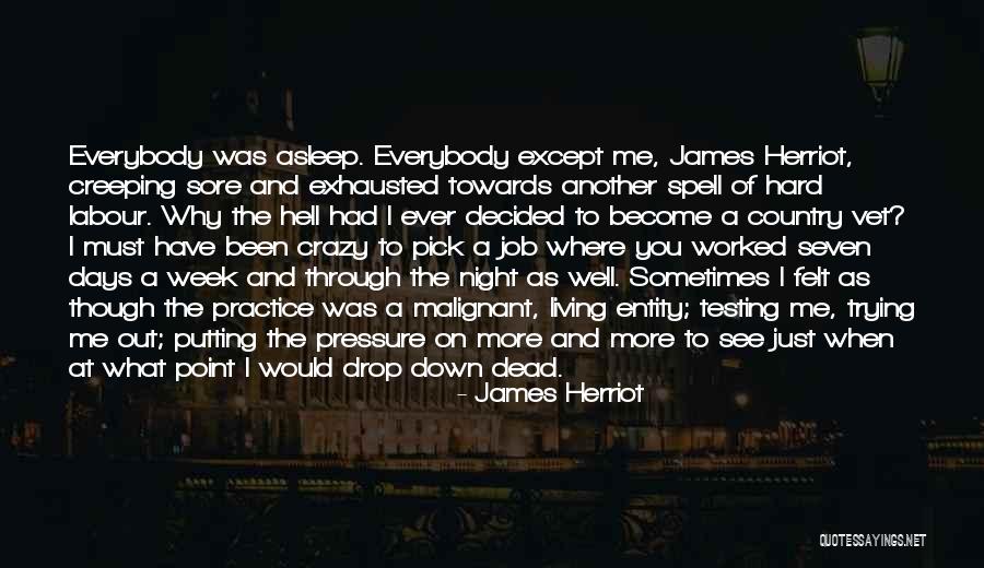 Living In Another Country Quotes By James Herriot Living In Another Country Quotes By James Herriot