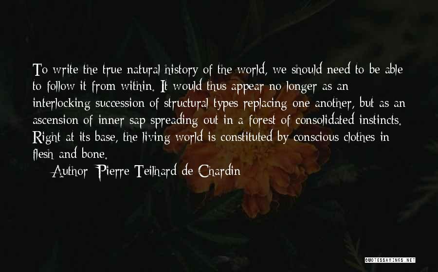 Living In Another World Quotes By Pierre Teilhard De Chardin