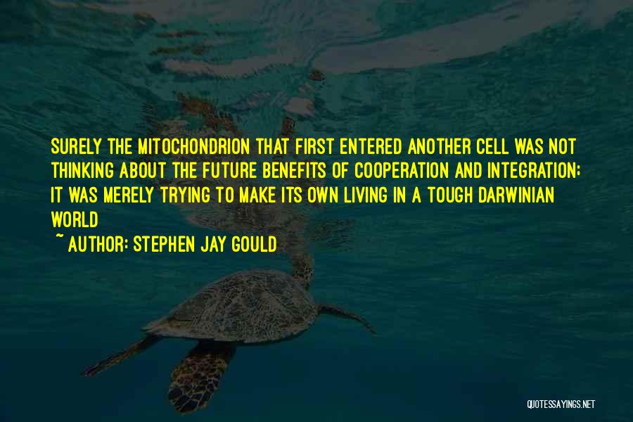 Living In Another World Quotes By Stephen Jay Gould