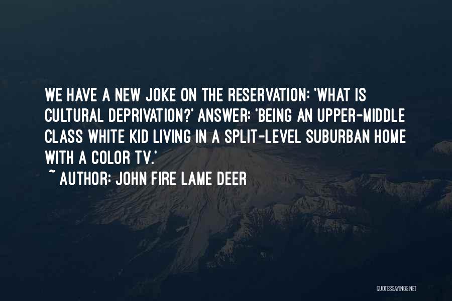 Living In Color Quotes By John Fire Lame Deer