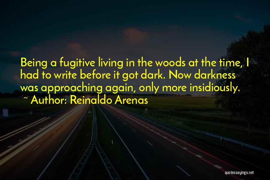 Living In Darkness Quotes By Reinaldo Arenas